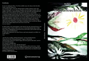 Buch "Wetterleuchten" von Jutta Krause