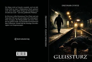 Buch "Gleissturz"