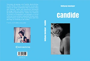 Buch "Candide" von Wolfgang Hunsinger