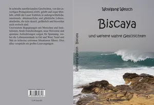 Buch "Biscaya" von Wolfgang Welsch