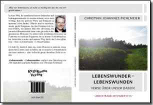 Buch "Lebenswunder - Lebenswunden" von Christian Johannes Pichlmeier