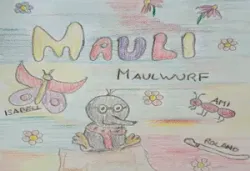 Buch "Mauli Maulwurf"
